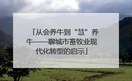 从会养牛到“慧”养牛——聊城市畜牧业现代化转型的启示