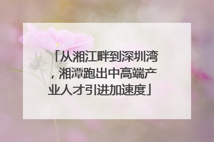 从湘江畔到深圳湾，湘潭跑出中高端产业人才引进加速度