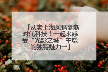 从老上海风情到新时代科技！一起来感受“光影之城”车墩的独特魅力→