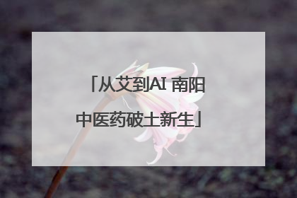 从艾到AI 南阳中医药破土新生