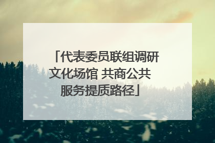 代表委员联组调研文化场馆 共商公共服务提质路径
