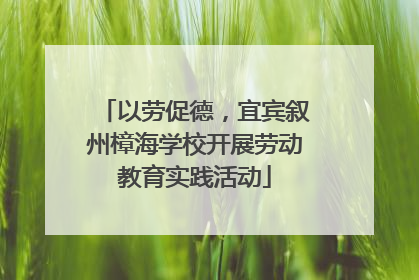 以劳促德，宜宾叙州樟海学校开展劳动教育实践活动