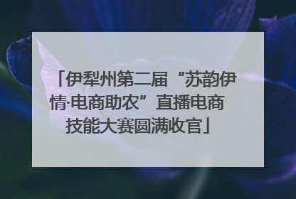 伊犁州第二届“苏韵伊情·电商助农”直播电商技能大赛圆满收官