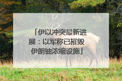 伊以冲突最新进展：以军称已摧毁伊朗铀浓缩设施
