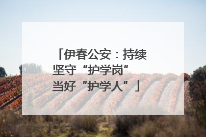 伊春公安：持续坚守“护学岗” 当好“护学人”