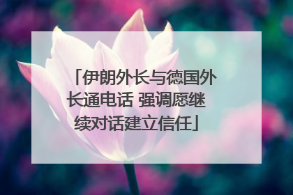 伊朗外长与德国外长通电话 强调愿继续对话建立信任