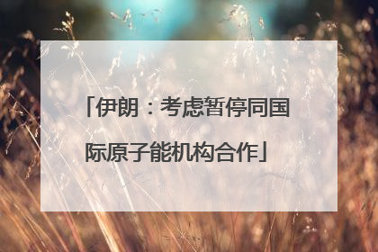 伊朗：考虑暂停同国际原子能机构合作