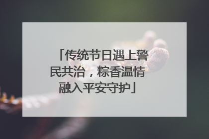 传统节日遇上警民共治，粽香温情融入平安守护