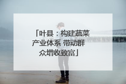 叶县：构建蔬菜产业体系 带动群众增收致富