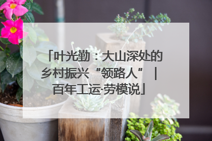 叶光勤：大山深处的乡村振兴“领路人”｜百年工运·劳模说