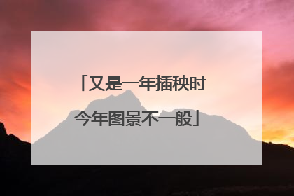 又是一年插秧时 今年图景不一般