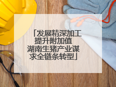发展精深加工 提升附加值 湖南生猪产业谋求全链条转型