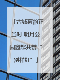 古城荷韵正当时 明月公园邀您共赏“别样红”