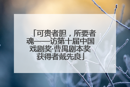 可贵者胆，所要者魂——访第十届中国戏剧奖·曹禺剧本奖获得者戴先良