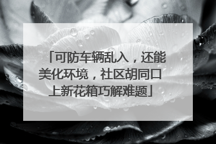 可防车辆乱入，还能美化环境，社区胡同口上新花箱巧解难题