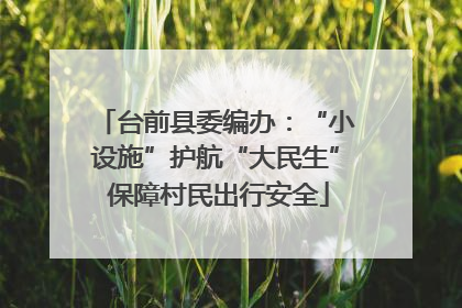 台前县委编办：“小设施”护航“大民生” 保障村民出行安全