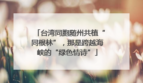 台湾同胞随州共植“同根林”，那是跨越海峡的“绿色情诗”