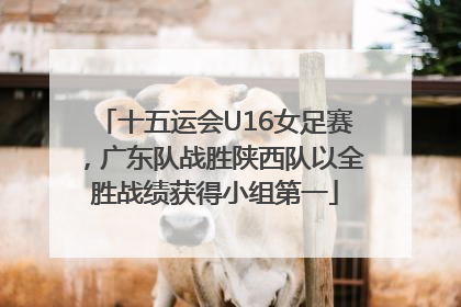 十五运会U16女足赛，广东队战胜陕西队以全胜战绩获得小组第一