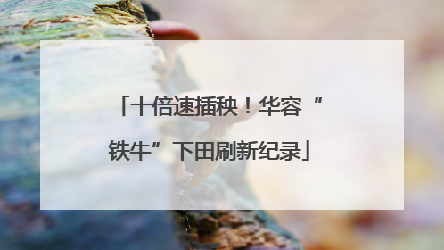 十倍速插秧！华容“铁牛”下田刷新纪录