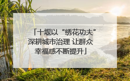 十堰以“绣花功夫”深耕城市治理 让群众幸福感不断提升