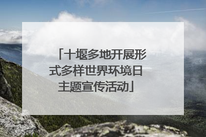 十堰多地开展形式多样世界环境日主题宣传活动