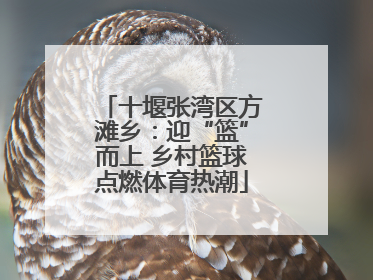 十堰张湾区方滩乡：迎“篮”而上 乡村篮球点燃体育热潮