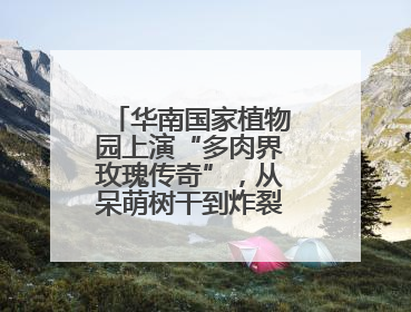 华南国家植物园上演“多肉界玫瑰传奇”，从呆萌树干到炸裂种子全是戏！