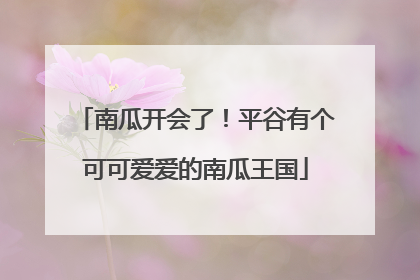 南瓜开会了！平谷有个可可爱爱的南瓜王国