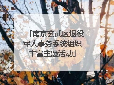 南京玄武区退役军人事务系统组织丰富主题活动