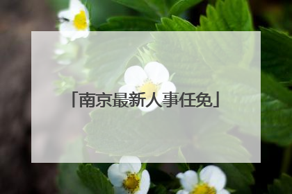 南京最新人事任免
