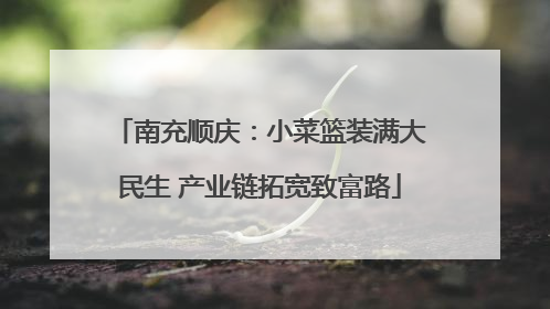 南充顺庆：小菜篮装满大民生 产业链拓宽致富路