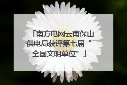 南方电网云南保山供电局获评第七届“全国文明单位”