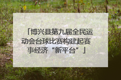 博兴县第九届全民运动会台球比赛构建起赛事经济“新平台”