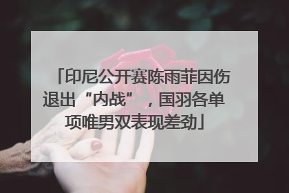 印尼公开赛陈雨菲因伤退出“内战”，国羽各单项唯男双表现差劲