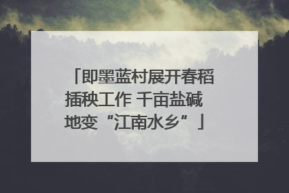 即墨蓝村展开春稻插秧工作 千亩盐碱地变“江南水乡”