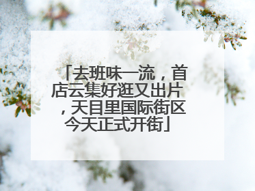 去班味一流，首店云集好逛又出片，天目里国际街区今天正式开街