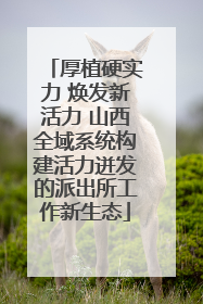 厚植硬实力 焕发新活力 山西全域系统构建活力迸发的派出所工作新生态