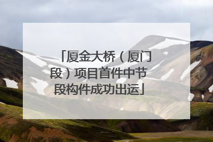 厦金大桥（厦门段）项目首件中节段构件成功出运