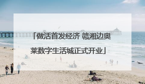 做活首发经济 赣湘边奥莱数字生活城正式开业