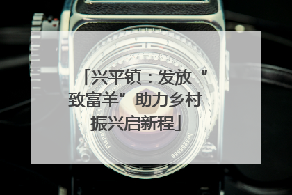 兴平镇：发放“致富羊”助力乡村振兴启新程