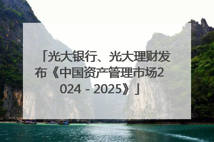 光大银行、光大理财发布《中国资产管理市场2024－2025》