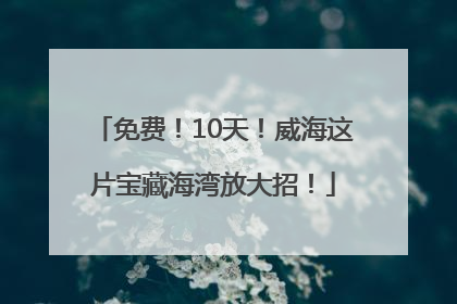 免费！10天！威海这片宝藏海湾放大招！