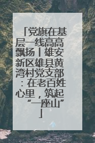 党旗在基层一线高高飘扬丨雄安新区雄县黄湾村党支部：在老百姓心里，筑起“一座山”