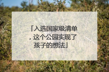 入选国家级清单，这个公园实现了孩子的想法