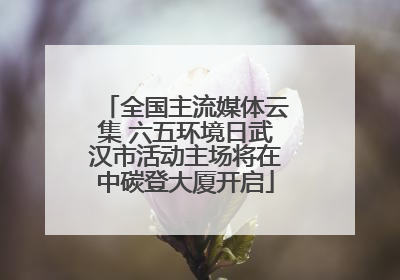 全国主流媒体云集 六五环境日武汉市活动主场将在中碳登大厦开启