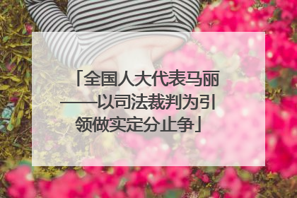 全国人大代表马丽——以司法裁判为引领做实定分止争