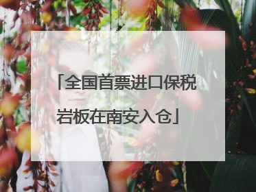 全国首票进口保税岩板在南安入仓