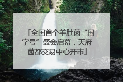全国首个羊肚菌“国字号”盛会启幕，天府菌都交易中心开市
