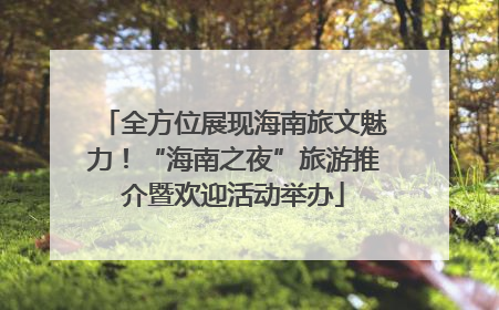 全方位展现海南旅文魅力！“海南之夜”旅游推介暨欢迎活动举办