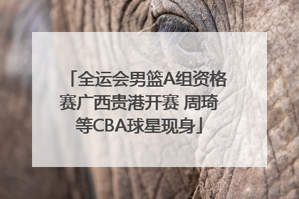 全运会男篮A组资格赛广西贵港开赛 周琦等CBA球星现身